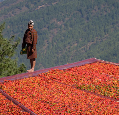bhutan gallery 4