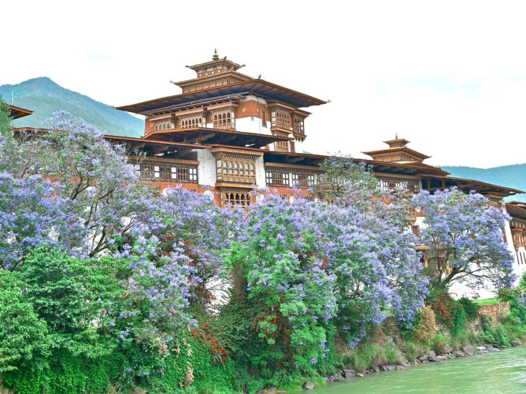punakha-tour